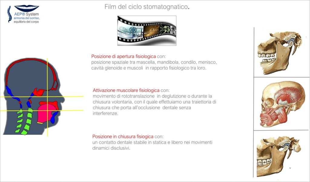 1 Rappresentazione del ciclo stomatognatico come sequenza di fotogrammi per spiegare la relazione tra posizione mandibolare, funzione ed equilibrio corporeo nel Metodo AEP®